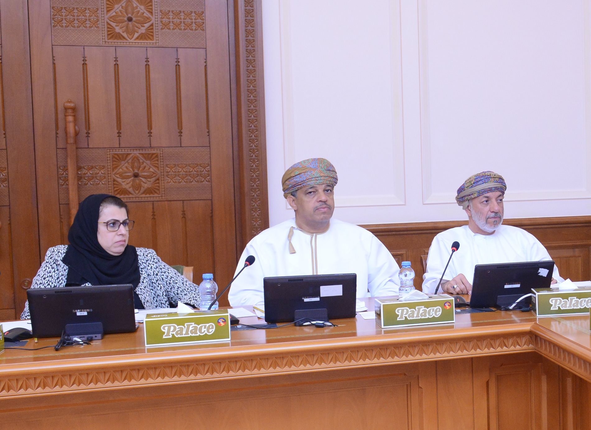 فريق عمل" القروض والتأمينات البنكية" بمجلس الدولة يناقش اشتراطات شركات التأمين 