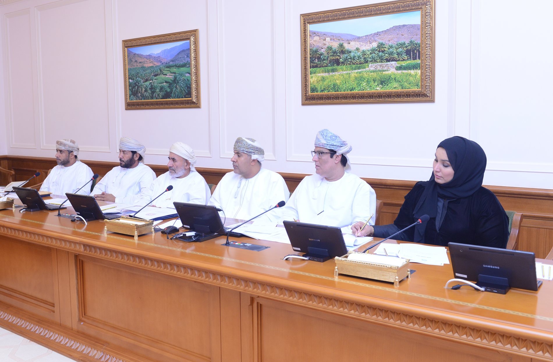 Social Committee discusses the topics to host entities for its study