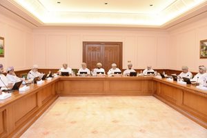 Legal Committee at the State Council meets 