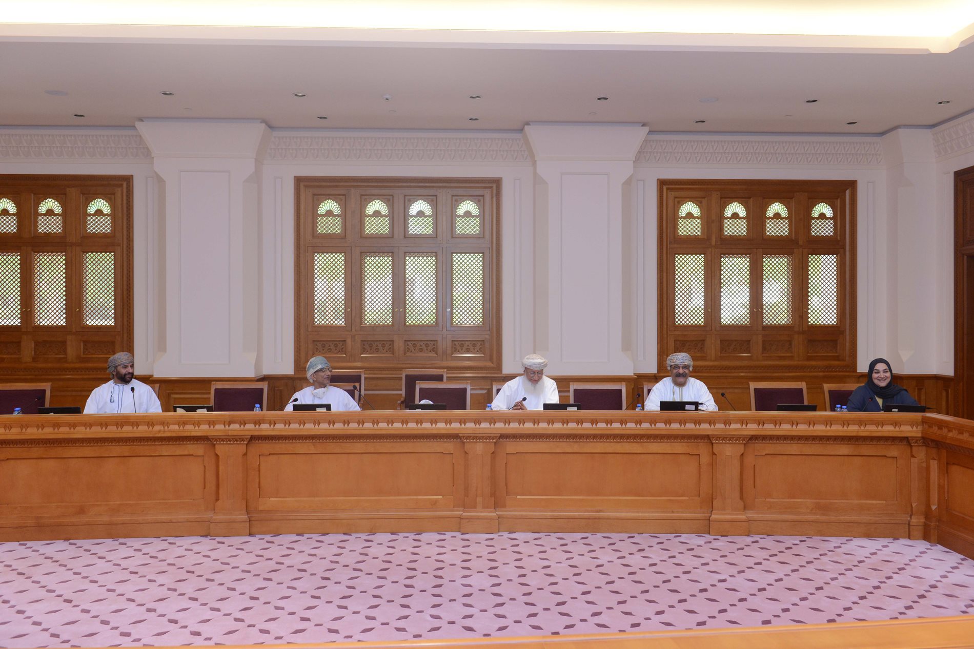 Technology and innovation Committee discusses its work plan for the second session