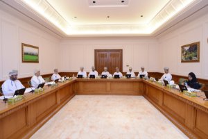  Special Committee hosts specialists to discuss “Language Policy" at the State Council 
