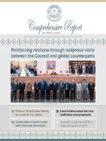 Comprehensive Report 39