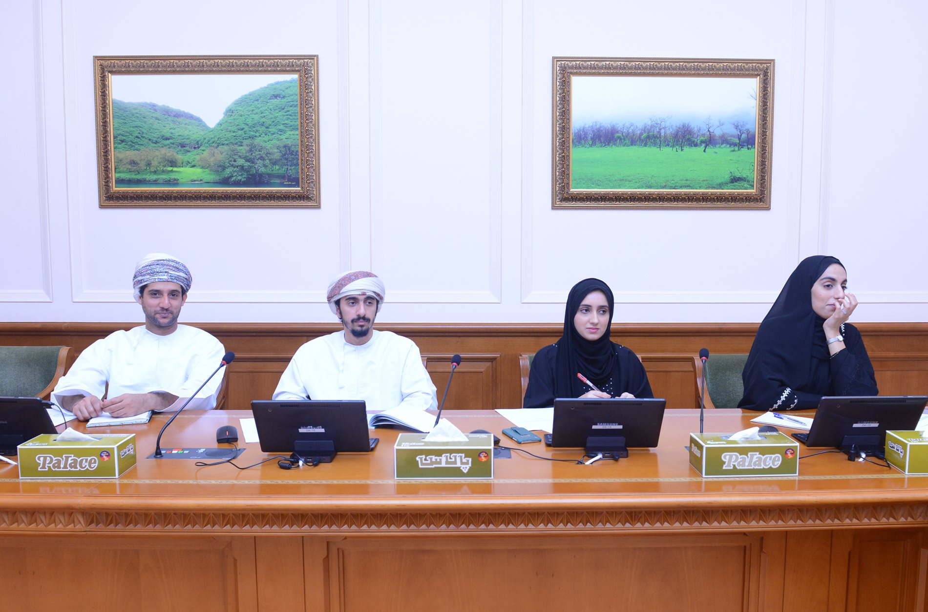 State Council group tasked to study bank loans and insurance discusses requirements of insurance companies in Oman