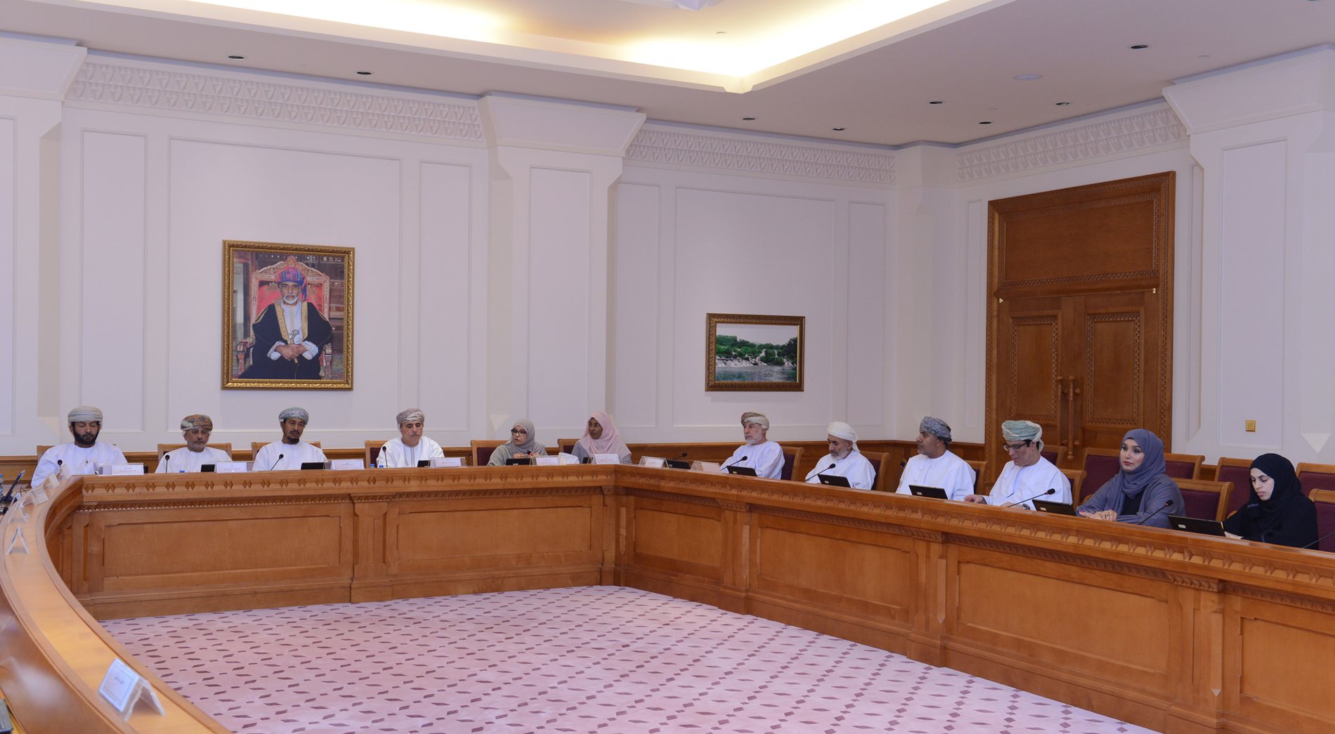 Social Com.discusses invest in combating non-communicable diseases in Oman