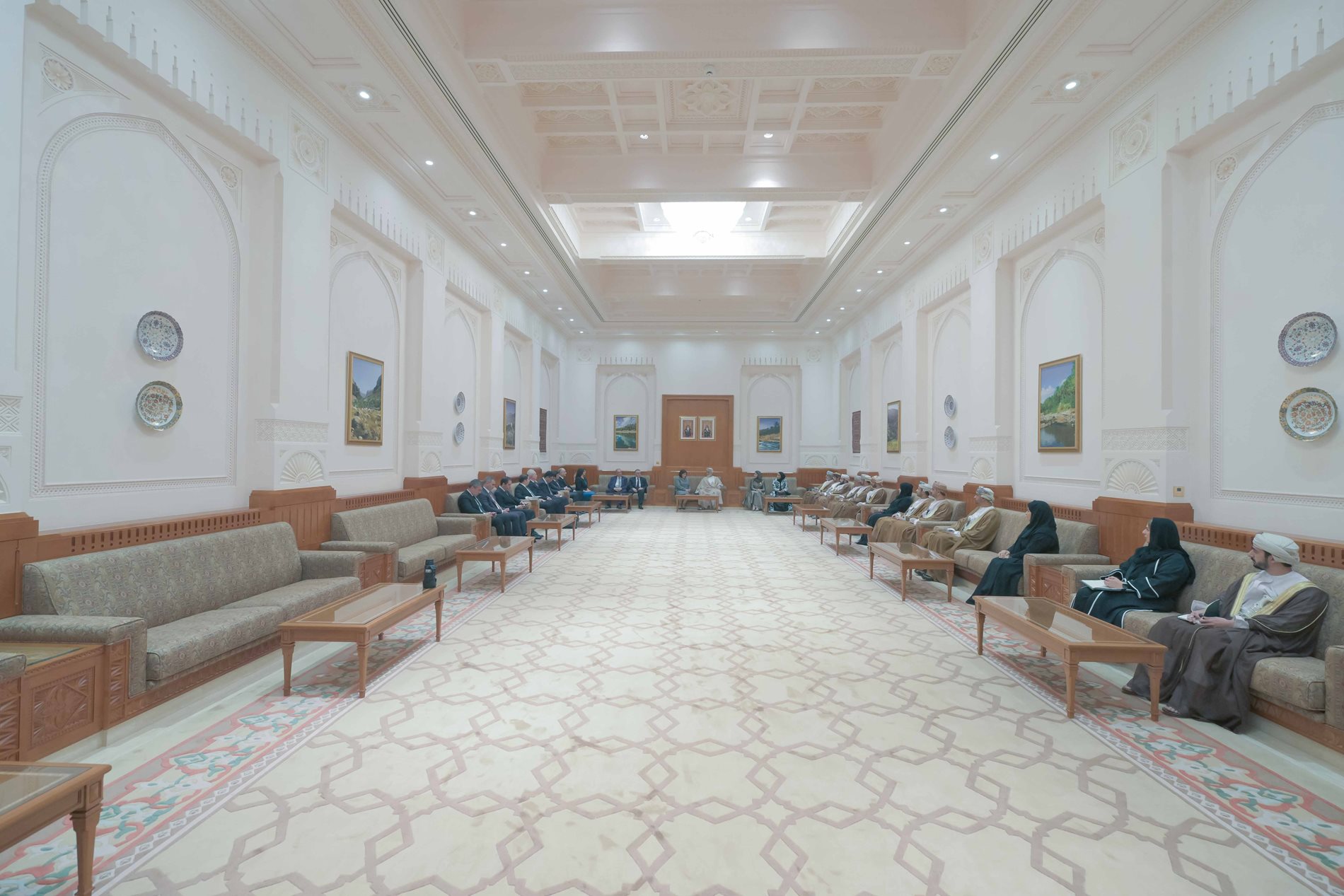 رئيس مجلس الدولة يستقبل رئيسة الجمعية الوطنية الأذربيجانية