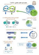 Arab and Omani Youth Index 2016 