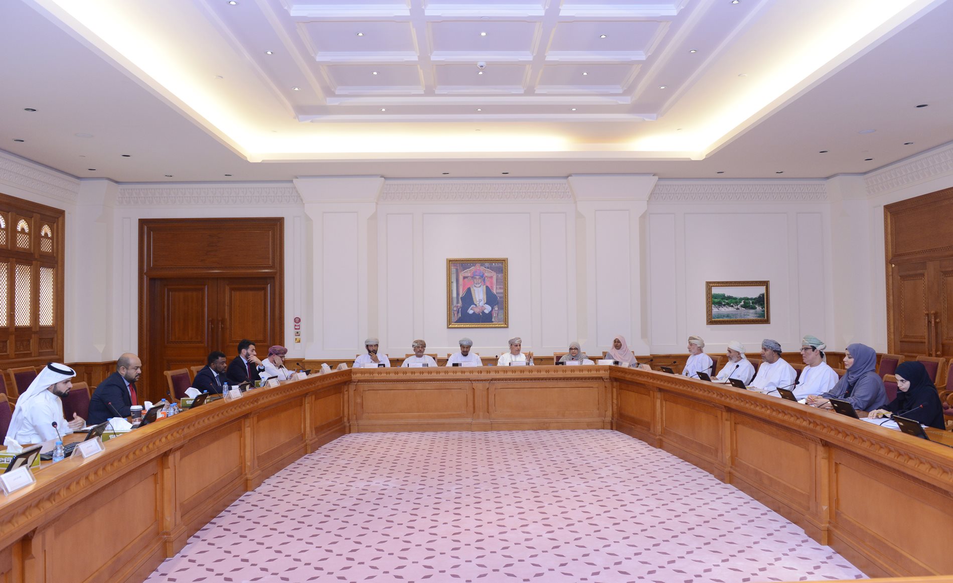 Social Com.discusses invest in combating non-communicable diseases in Oman