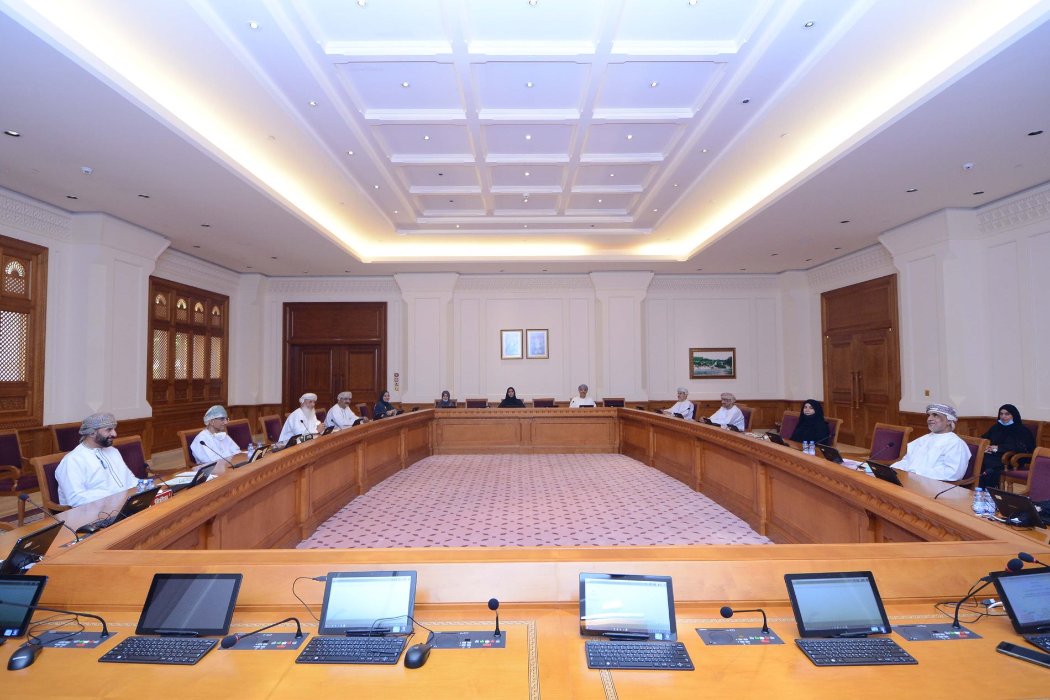 Technology and innovation Committee discusses its work plan for the second session