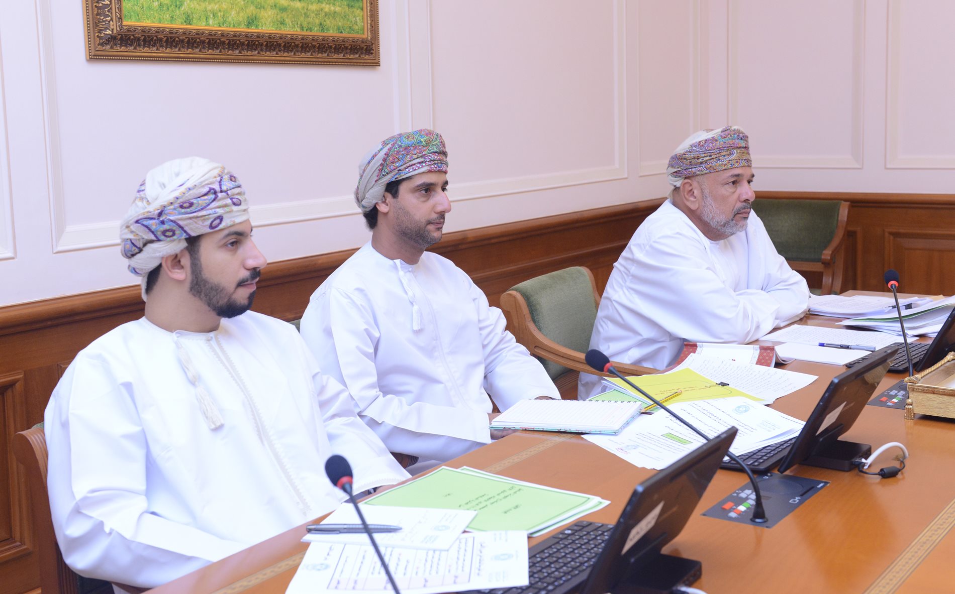 Legal Committee reviews the topics of its studies for the current session  