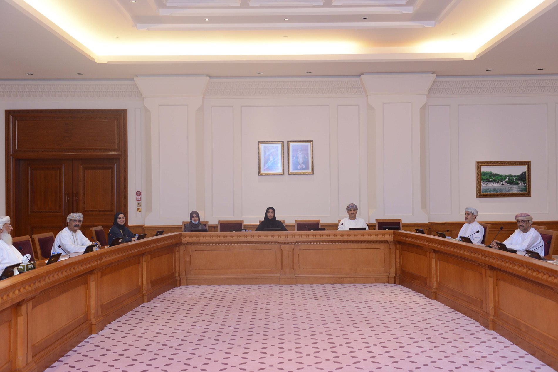 Technology and innovation Committee discusses its work plan for the second session