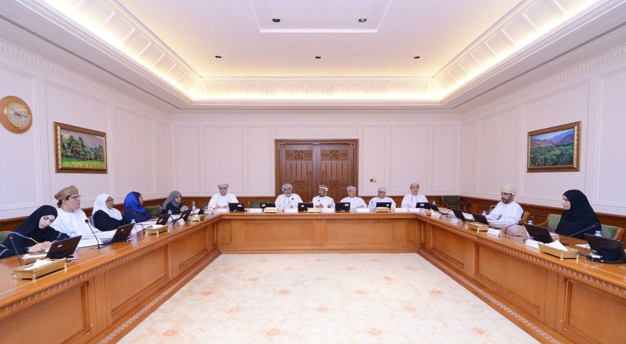 Social Committee at State Council hosts MOH officials to gain inputs 