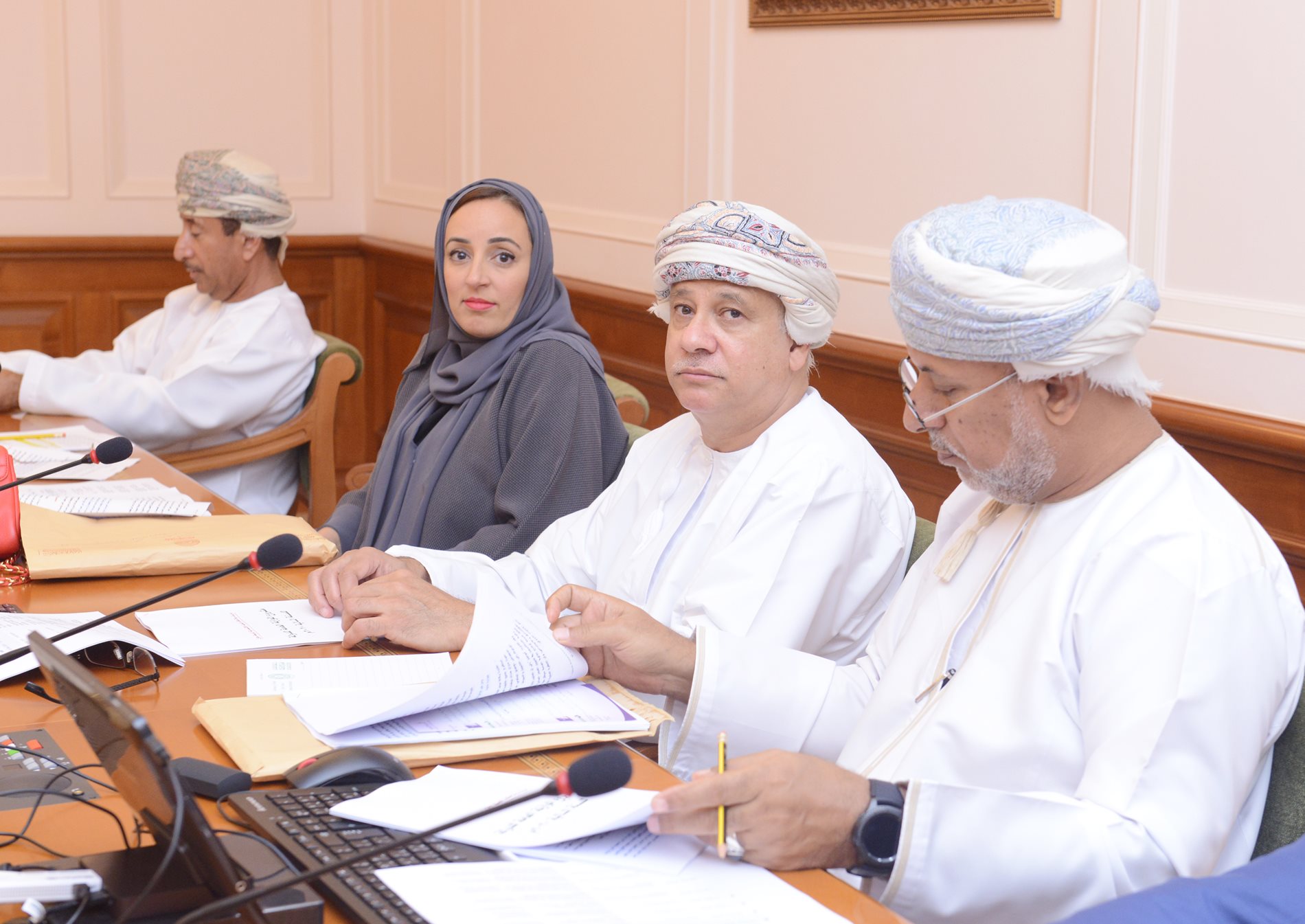 "الاقتصادية الموسعة" بمجلس الدولة تناقش مشروع   "موازنة 2020 "