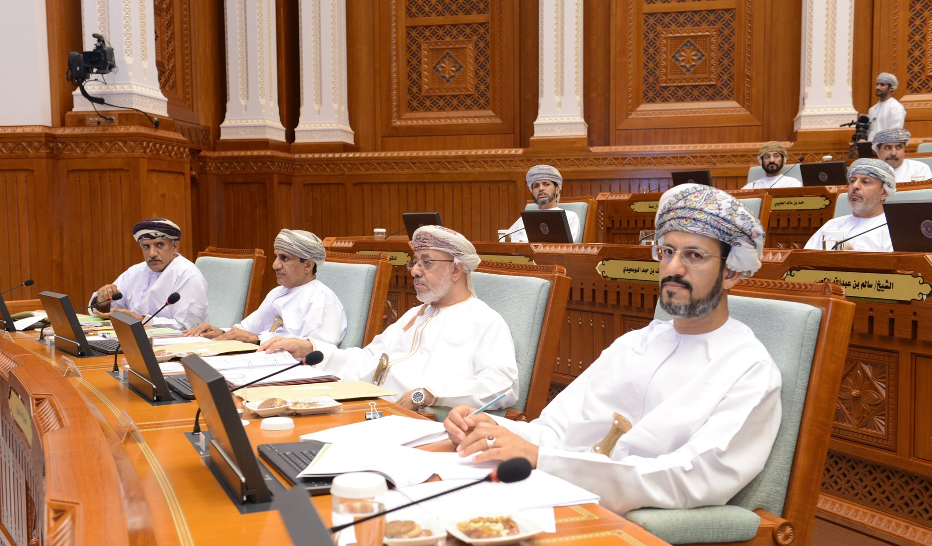 State Council approves Joint com. report on 4 draft laws: Defers land laws proposal 