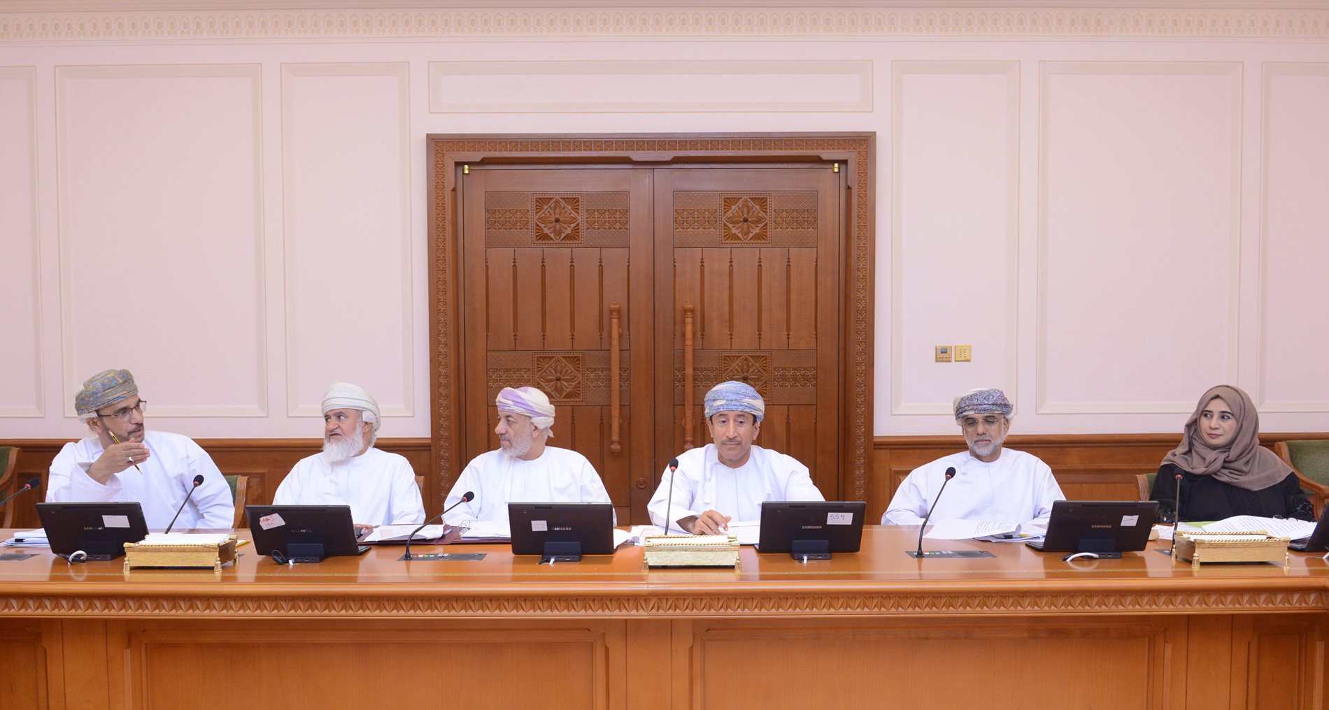 Legal Committee reviews the topics of its studies for the current session  